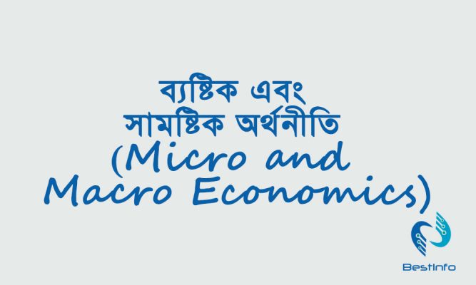 ব্যষ্টিক এবং সামষ্টিক অর্থনীতি (Micro and Macro Economics)